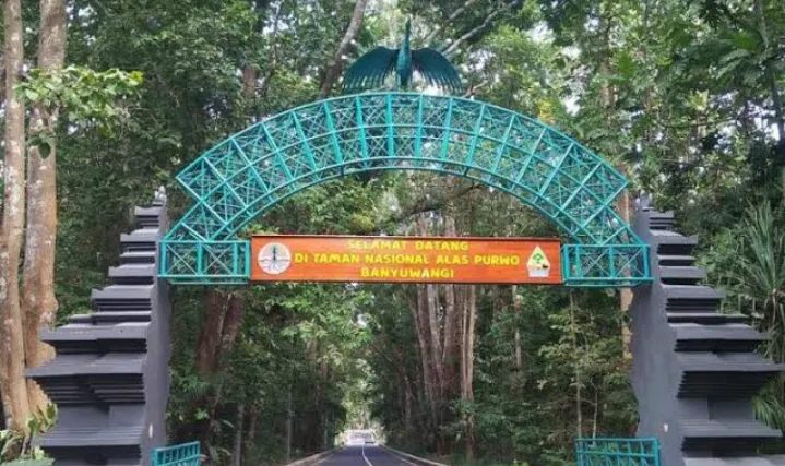 Hutan Alas Purwo