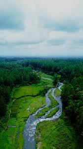 Perkemahan Kalisawah